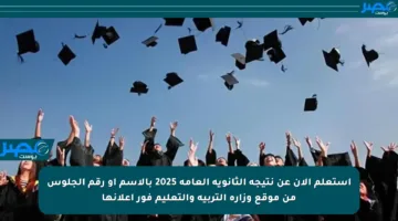 استعلم الآن عن نتيجة الثانوية العامة 2025 بالاسم أو رقم الجلوس من موقع وزارة التربية والتعليم فور إعلانها